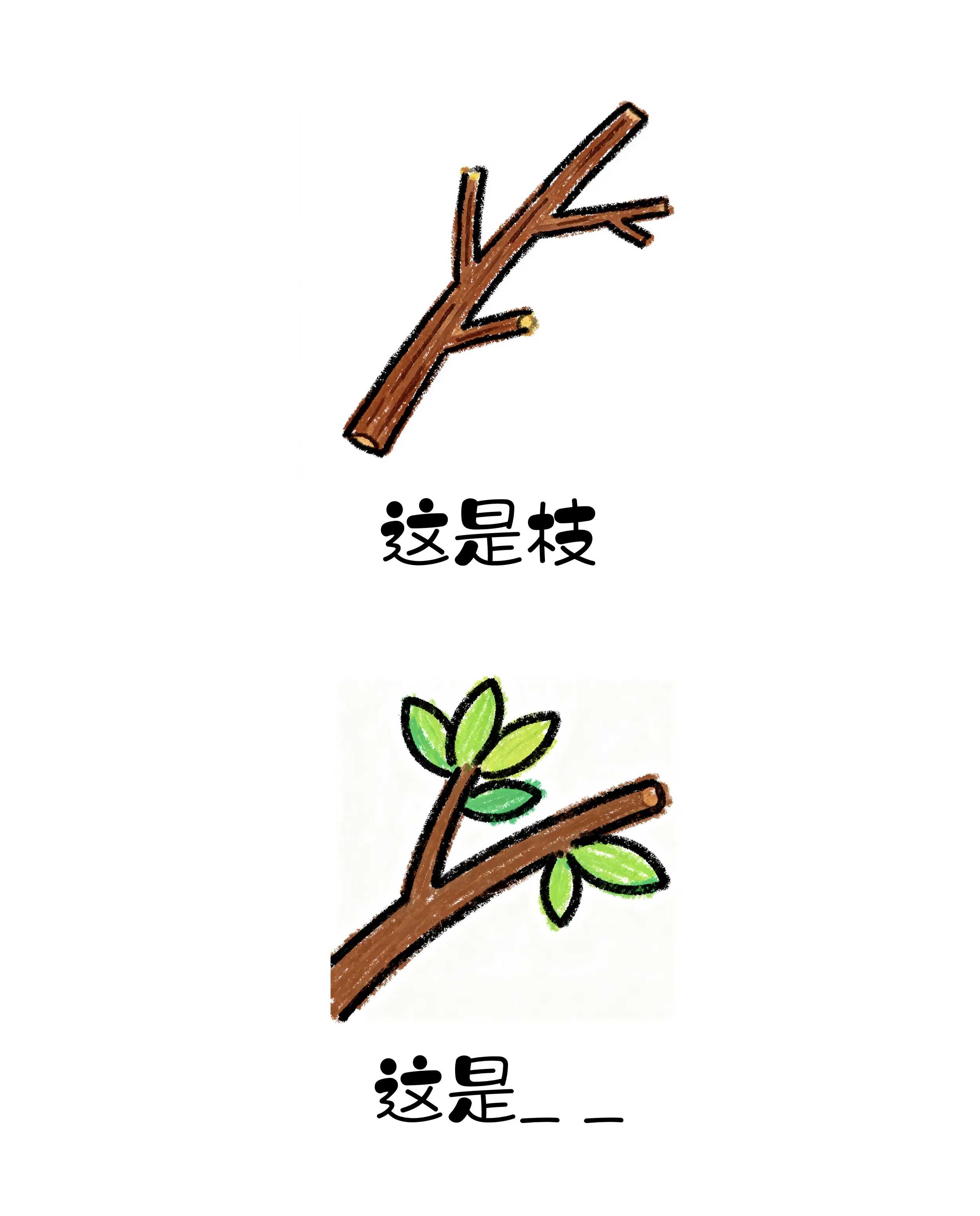 尊龙凯时-人生就是搏中国官方网站